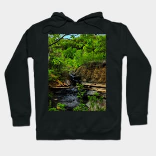 Hidden Gem Hoodie